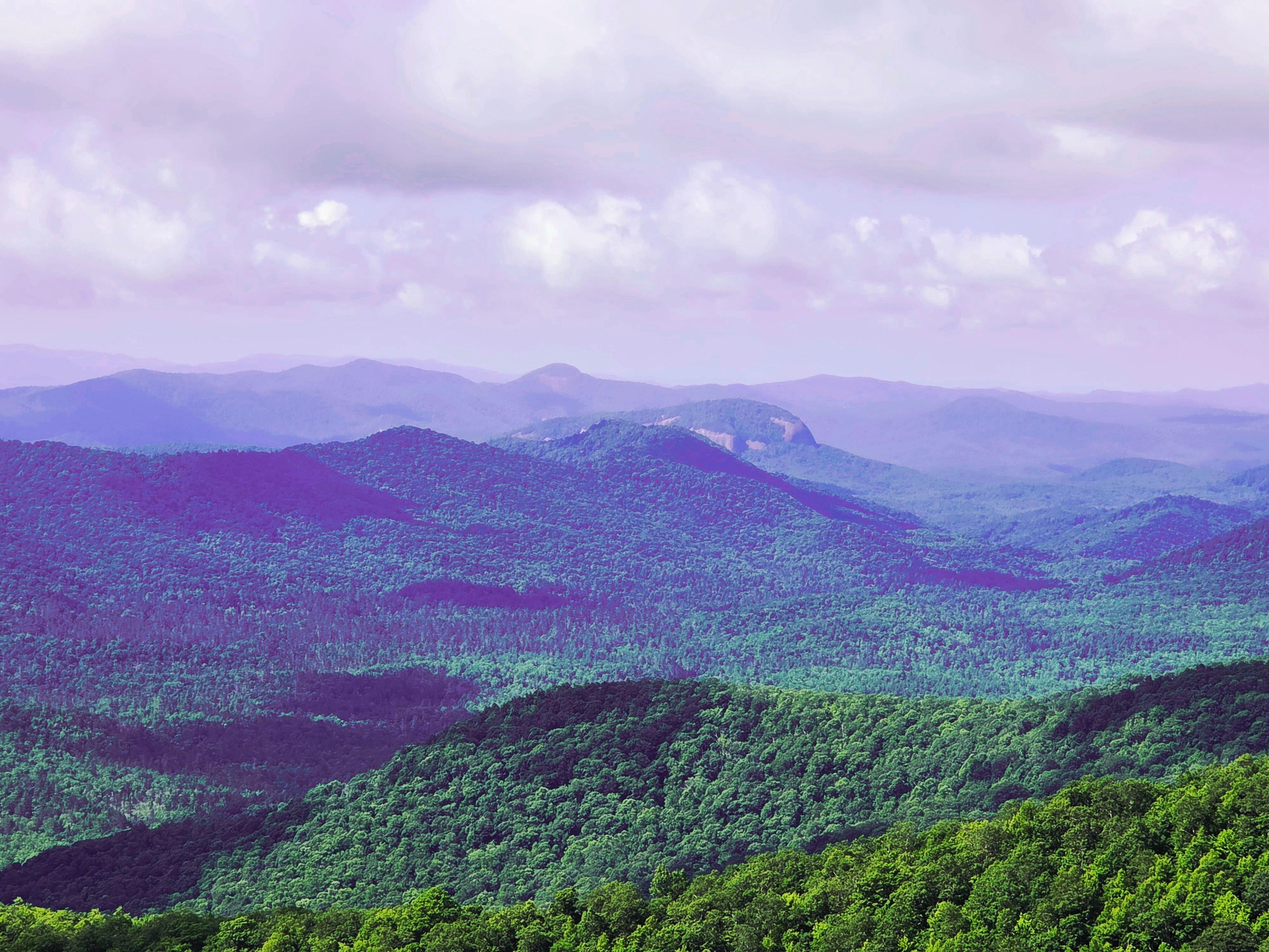 Blue Ridge Parkway view.