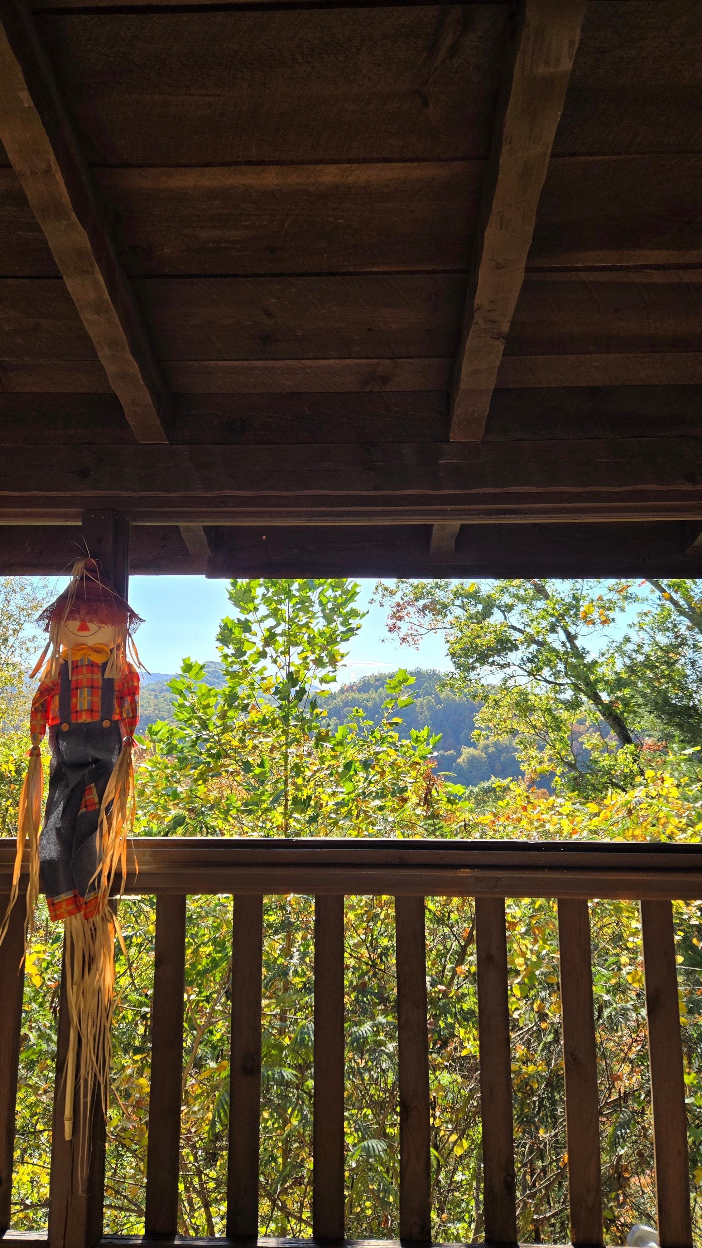 View from main floor deck