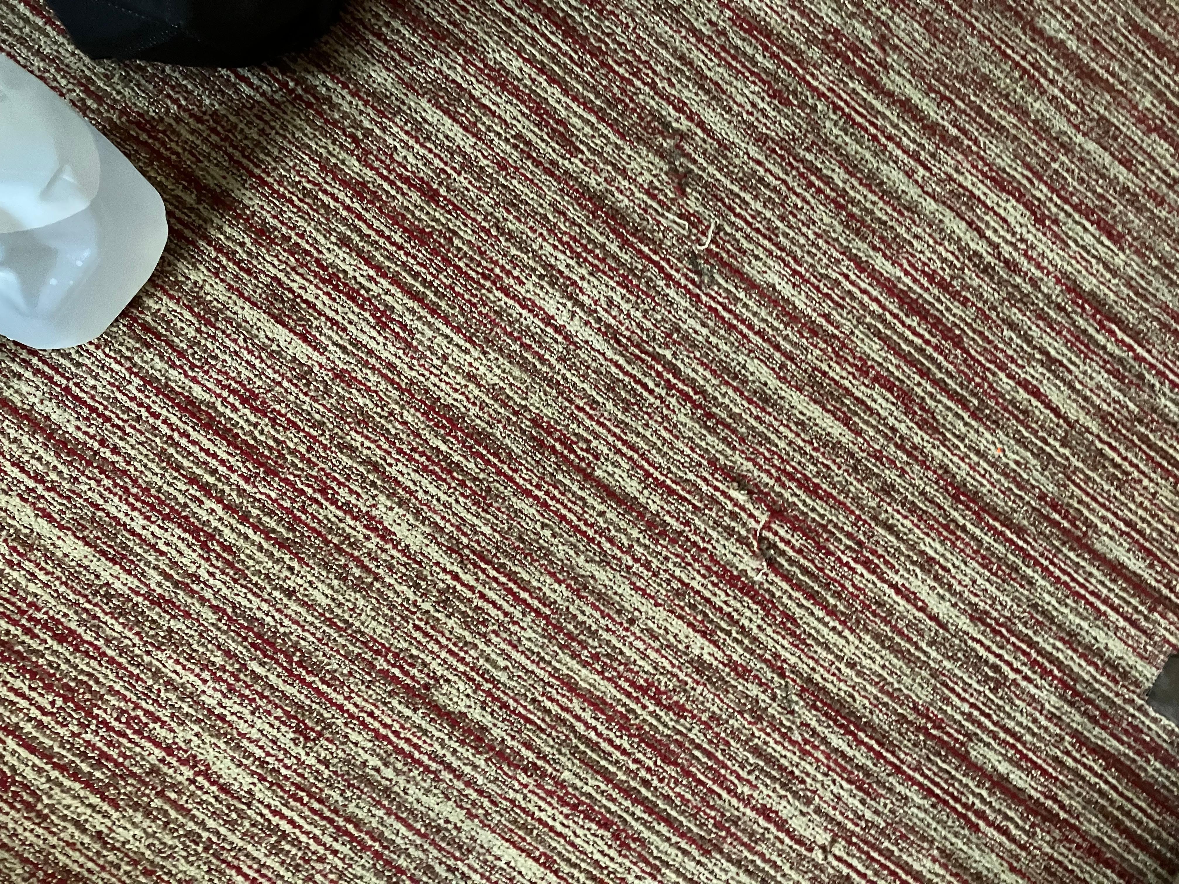 Rug in room in bad shape and very old and outdated.