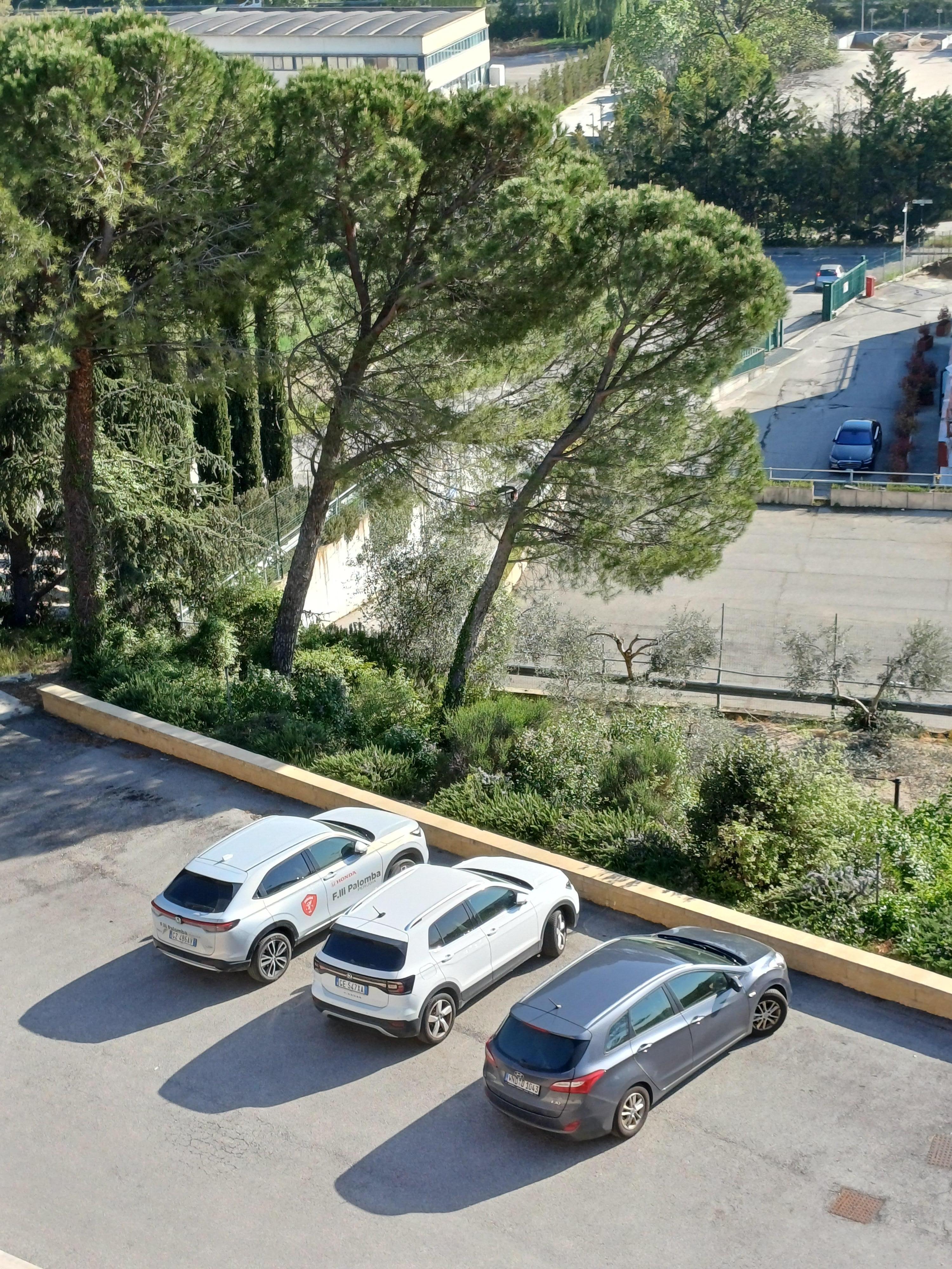 Le parking devant l'entrée 