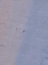 Unknown hair and objects on made bed