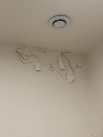Peeling paint - evidence of mold