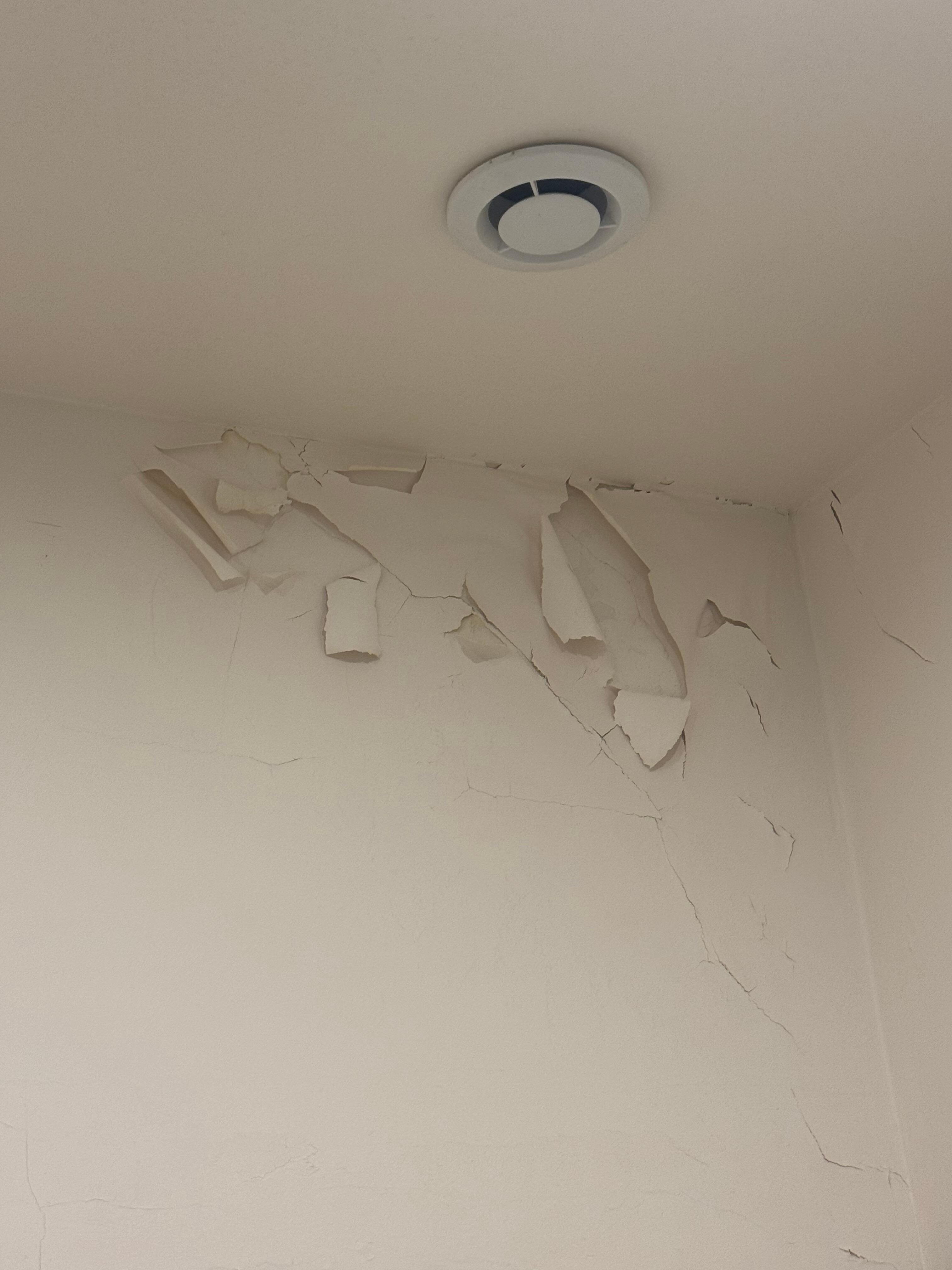 Peeling paint - evidence of mold