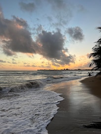 Early morning walk on the beach