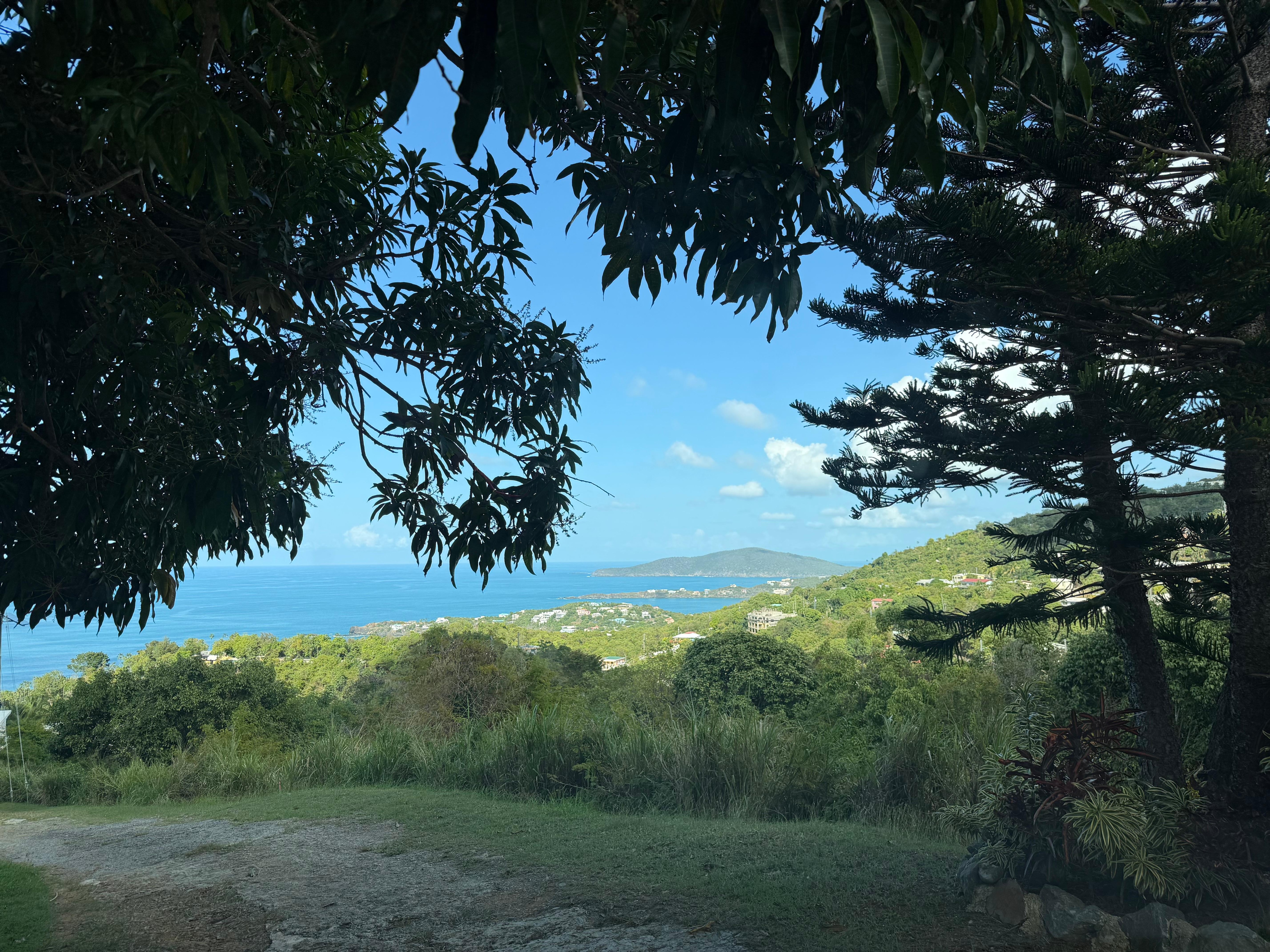 Beautiful views everywhere…this is from the driveway 