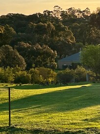Sunset views and kangaroos