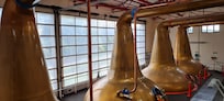 Speyside Whisky Tour