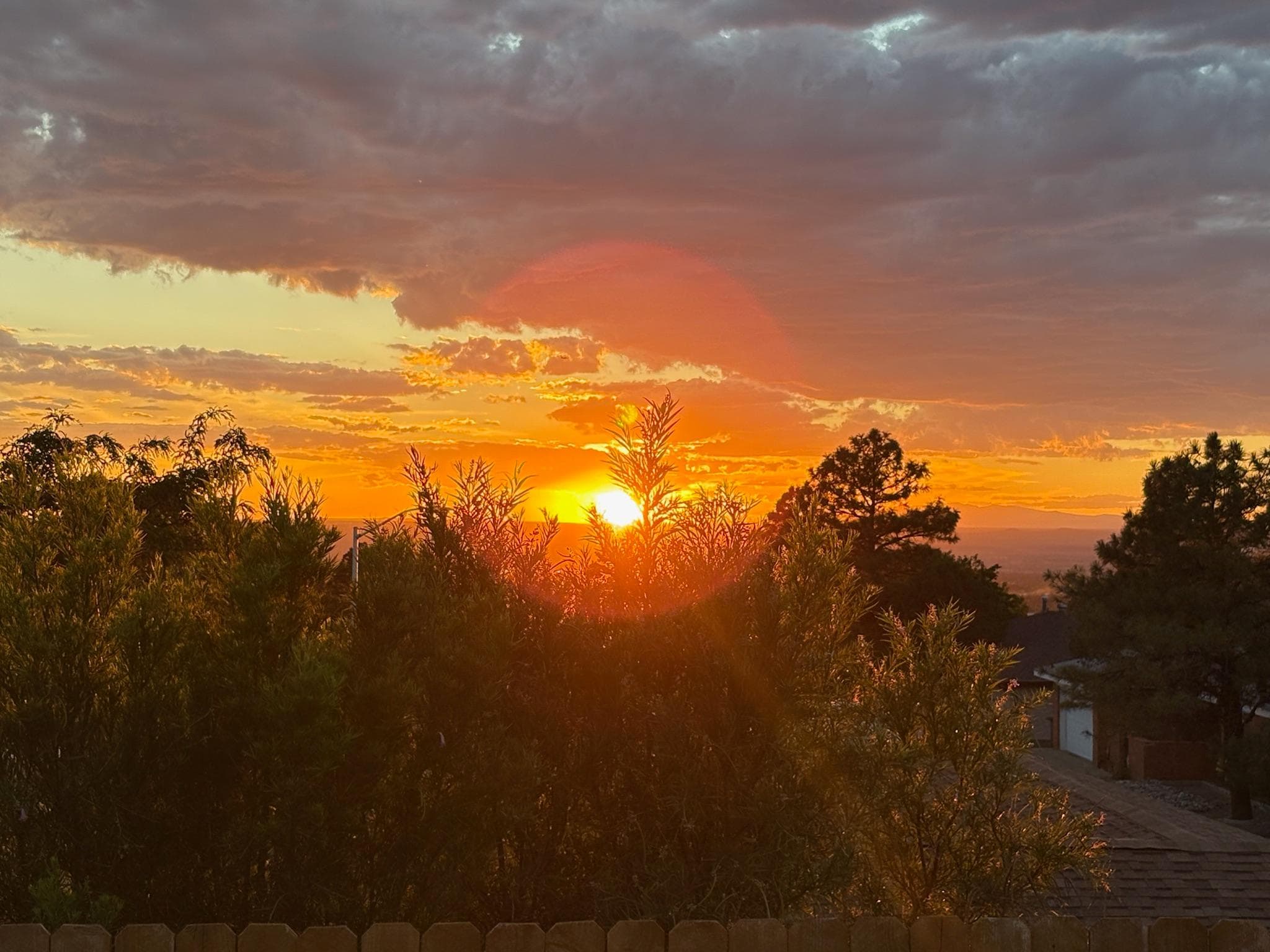 Watching sunsets and City Lights every night from the back deck. The sunsets I remember from being a kid.