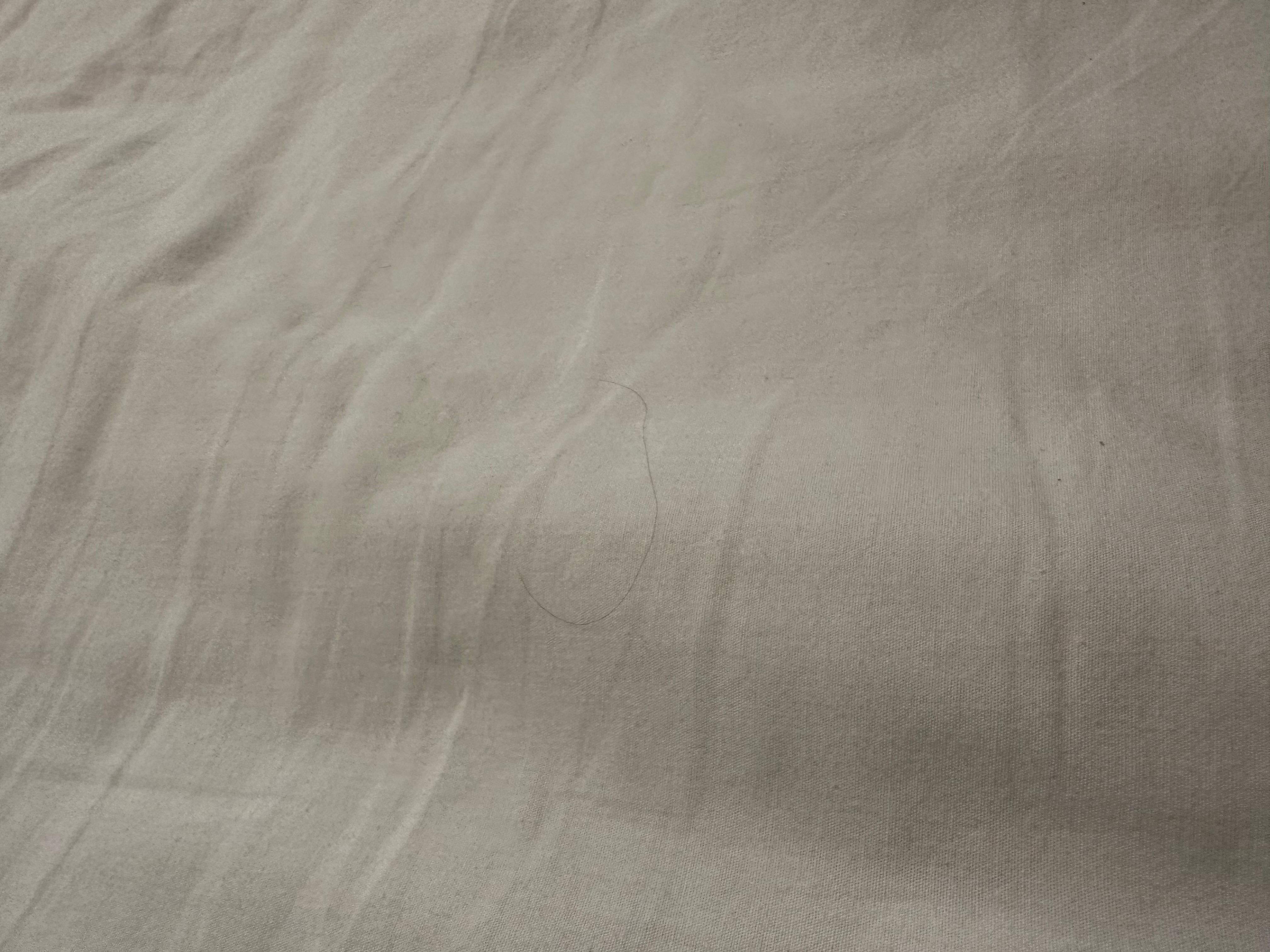 Hair in bed found. Not cleaned prior to arrival. 