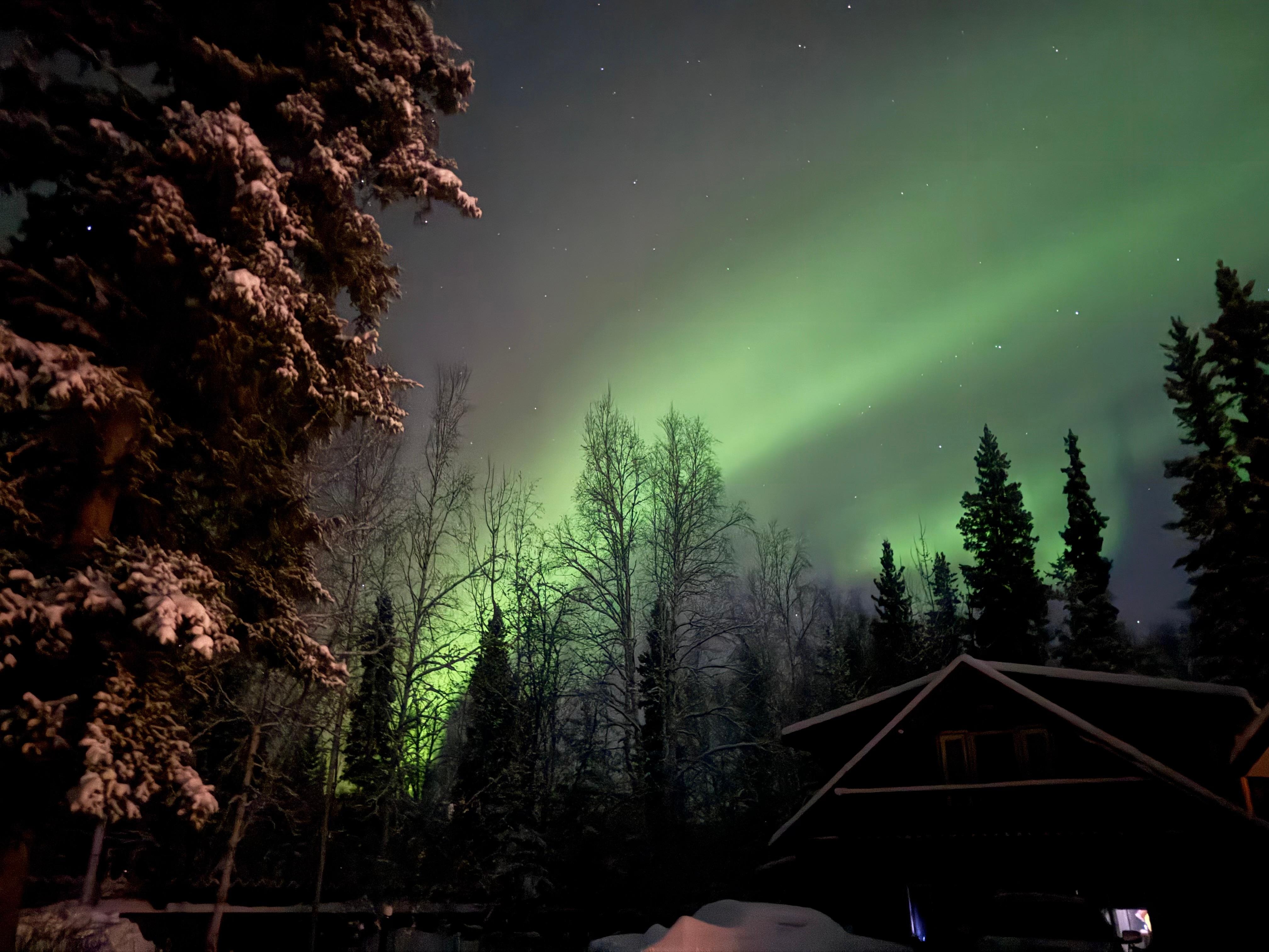 Northern lights Nov 2026 from drive way. 
