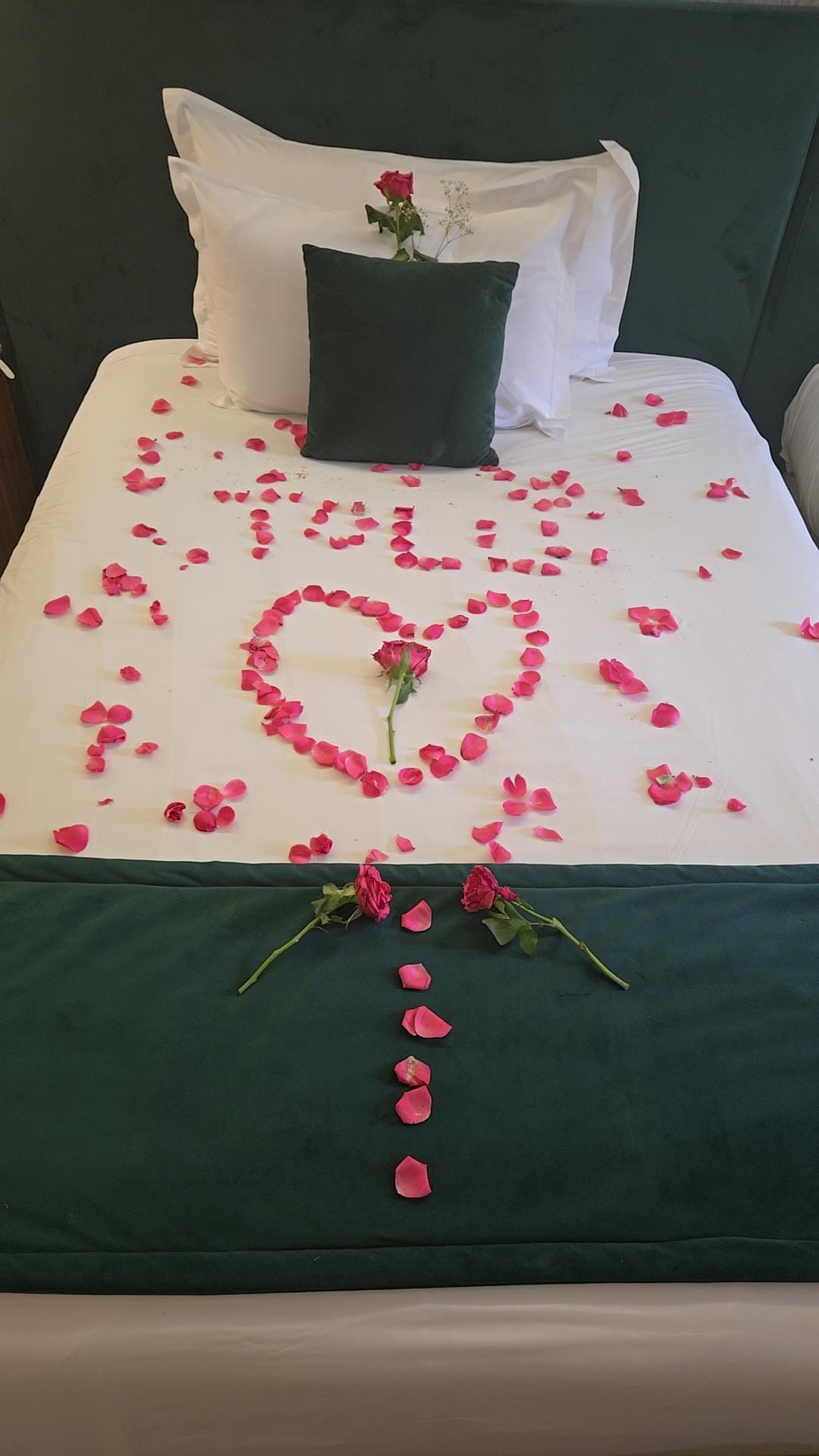 They made my day on my birthday. 