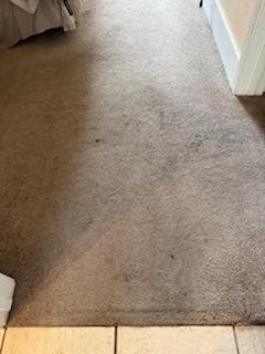 Spotted, dirty rug in bedroom