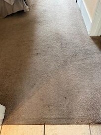 Spotted, dirty rug in bedroom