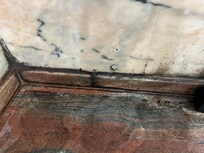 Shower floor completely mouldy