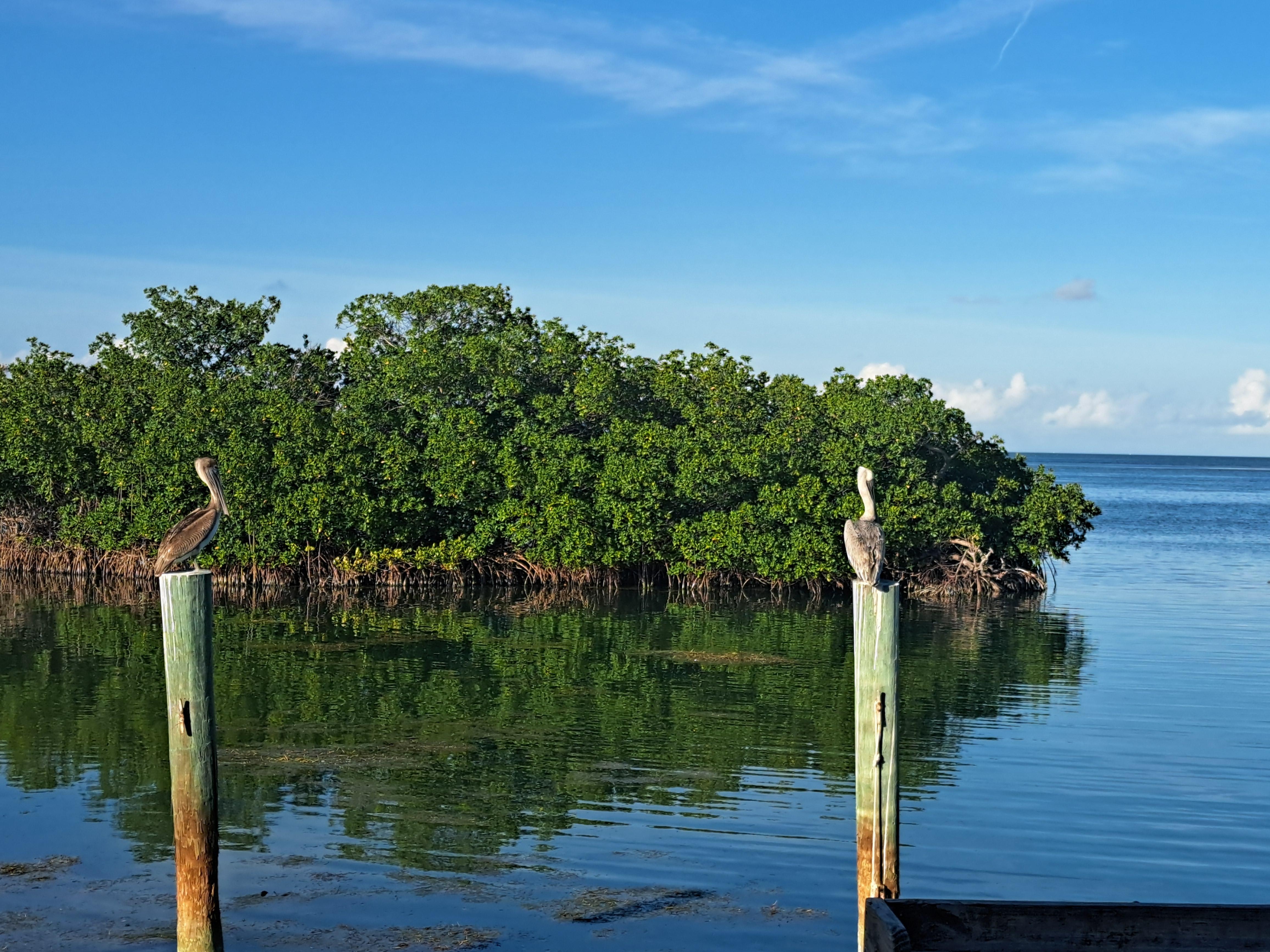 We enjoyed the wildlife from our patio