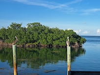 We enjoyed the wildlife from our patio