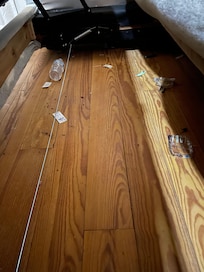 Trash under sleeper sofa