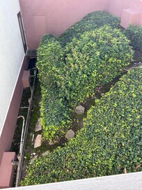 Bushes and vents down below. Kinda smelly.