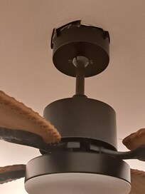 Black tape around ceiling fan