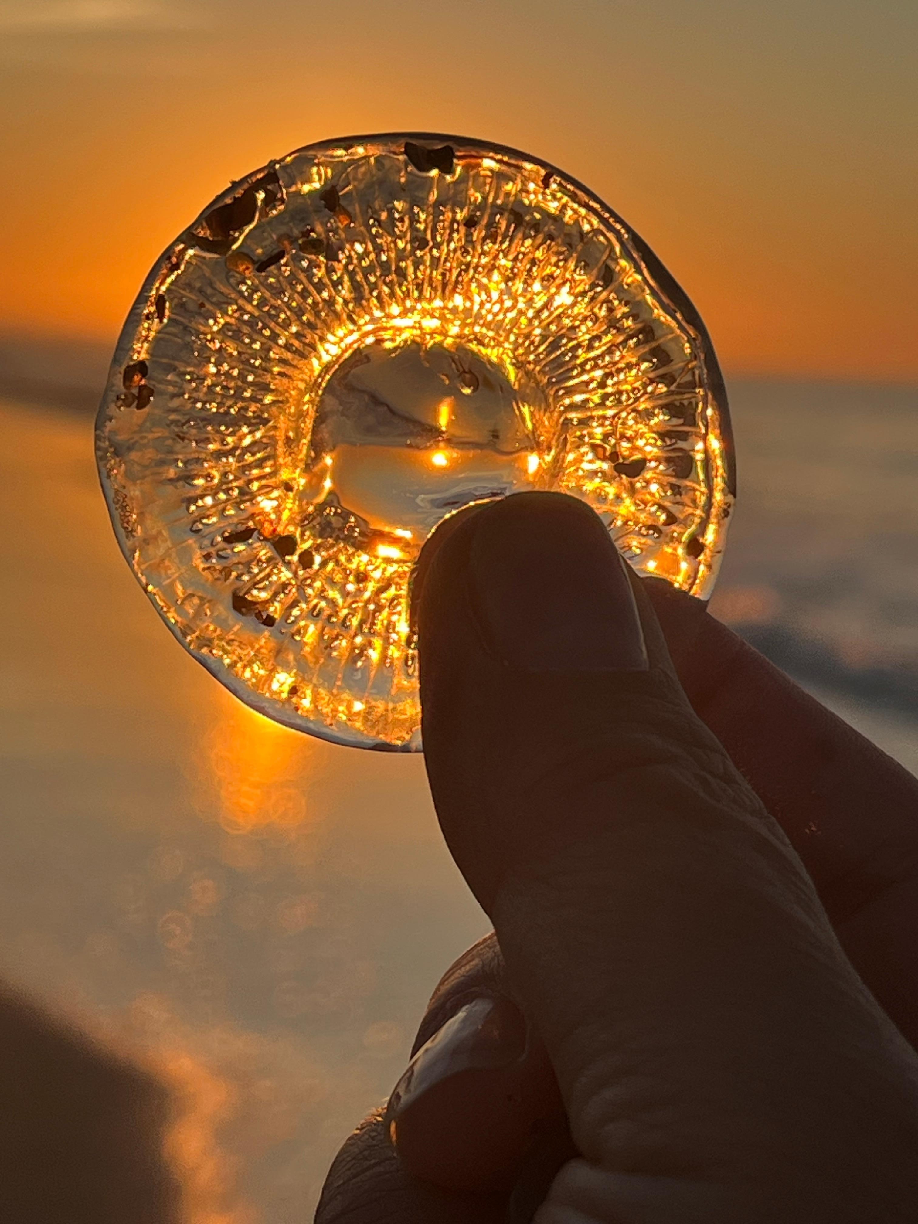 Some of our treasures