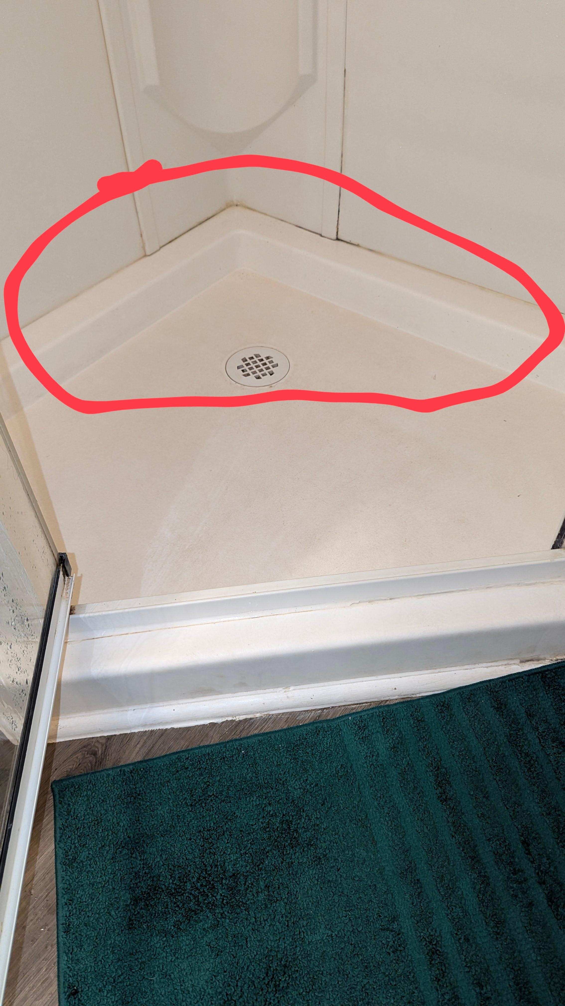 Shower Stall covered with stains and mold