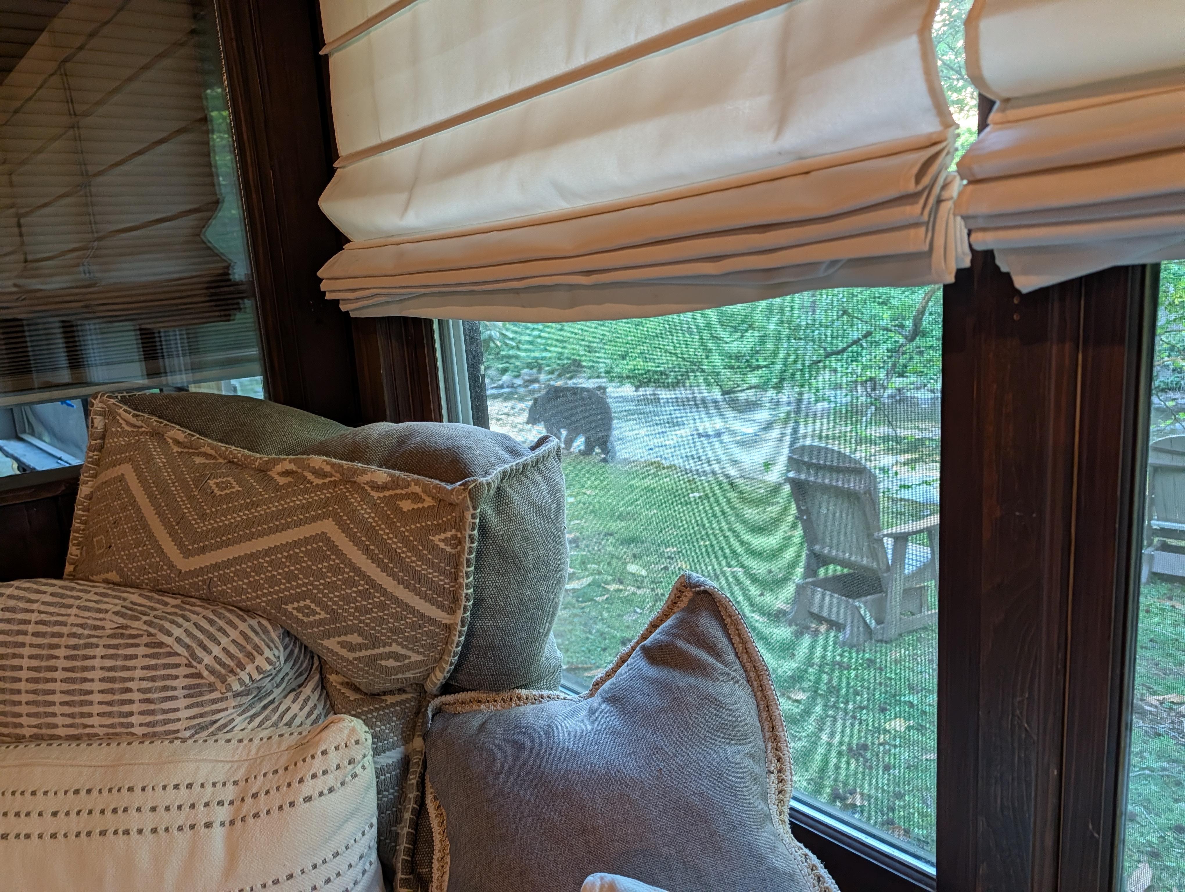 Local wildlife - view from the window seat 