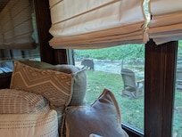 Local wildlife - view from the window seat