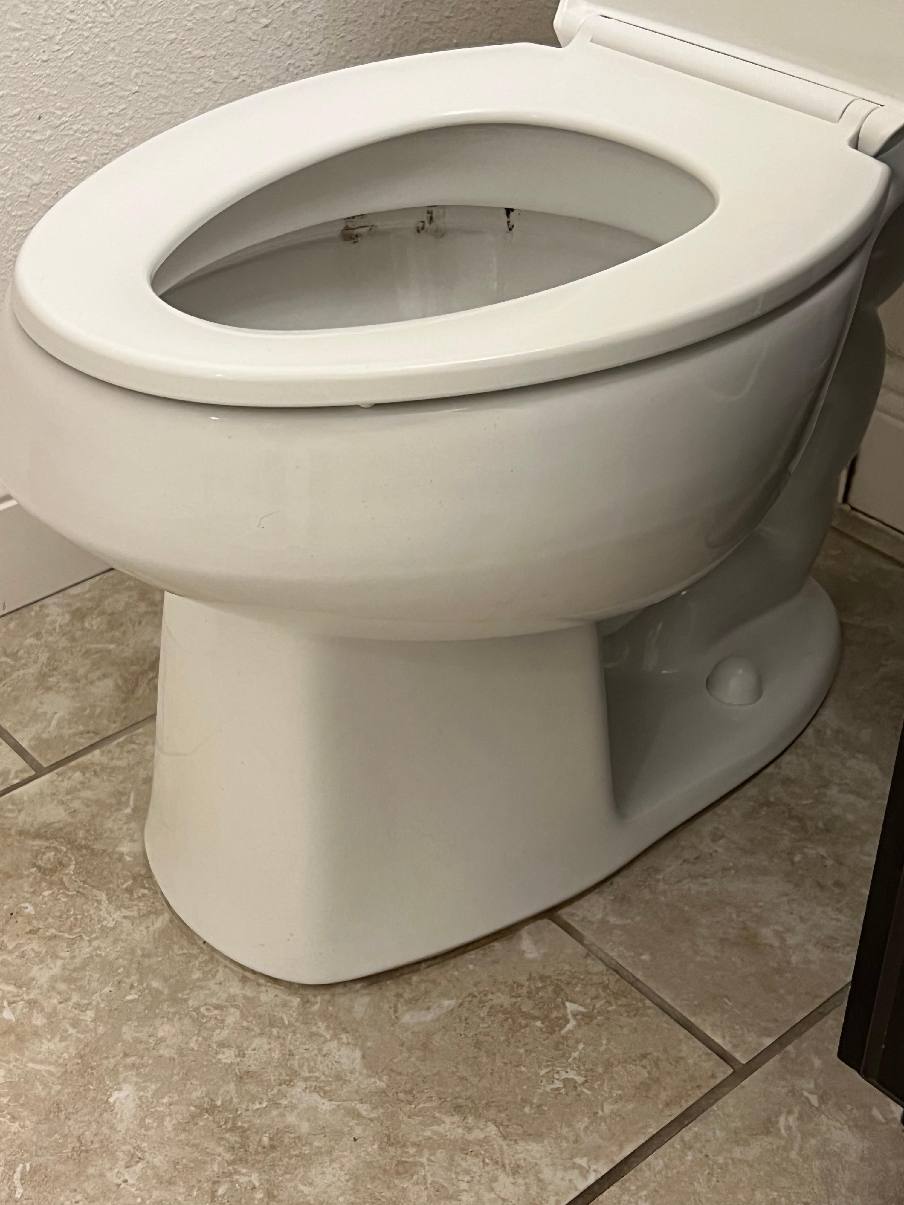 The dirty toilet in the master bathroom 