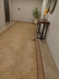 In hall right next to elevator for 2 of the days looks like either poop or food