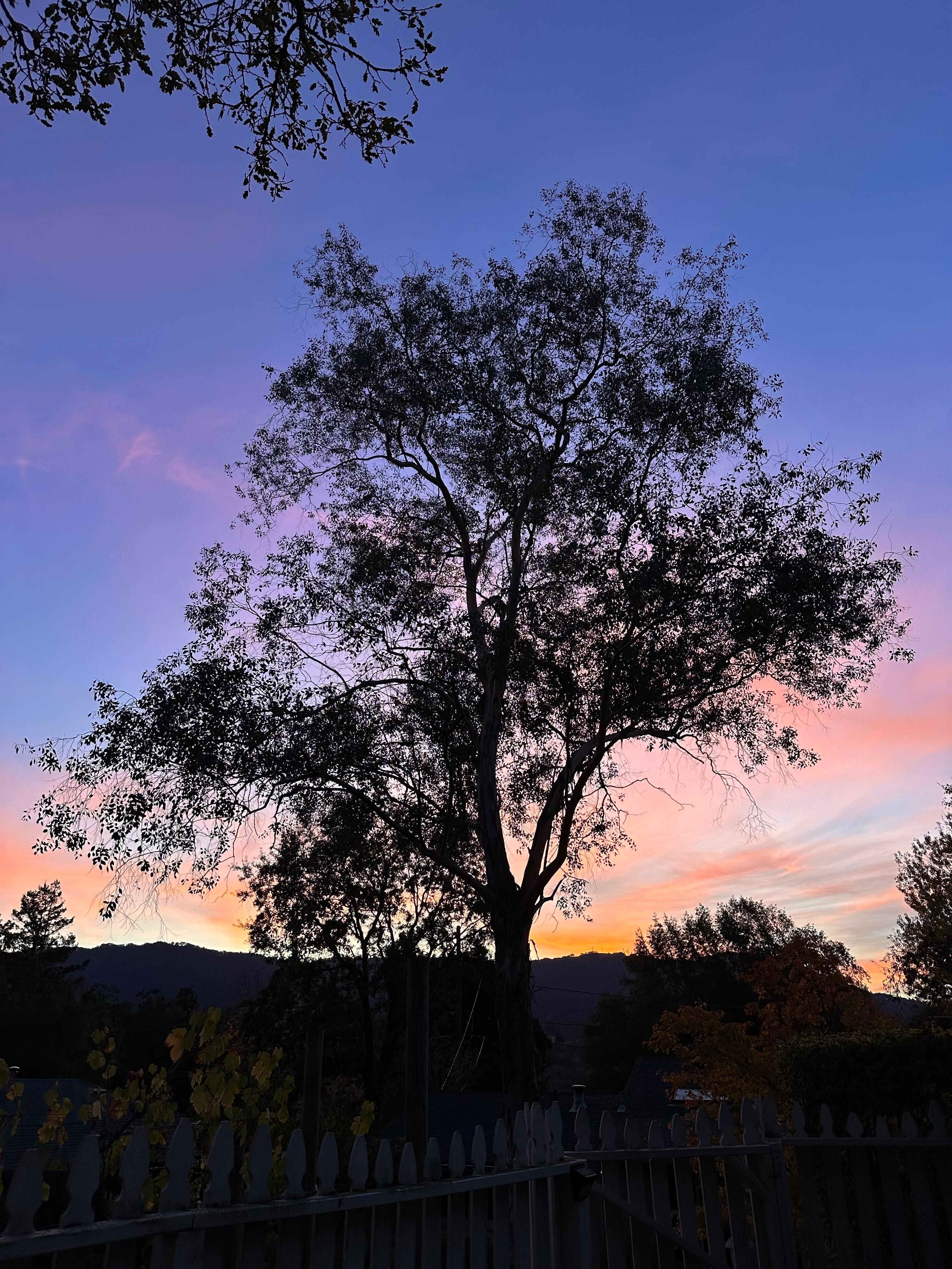 Sunset sky from the cottage patio.