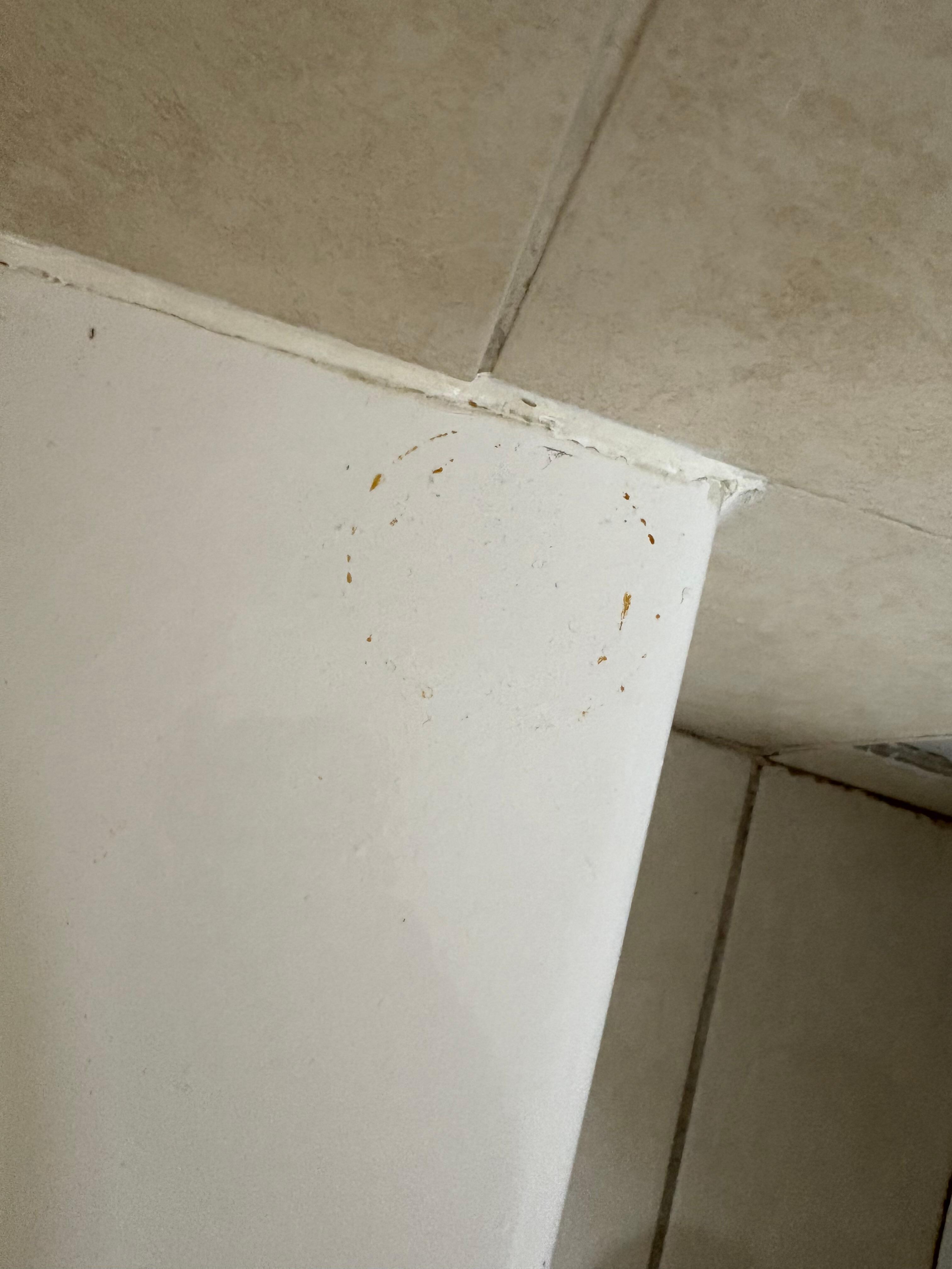Outlines in bathtub of some type of product