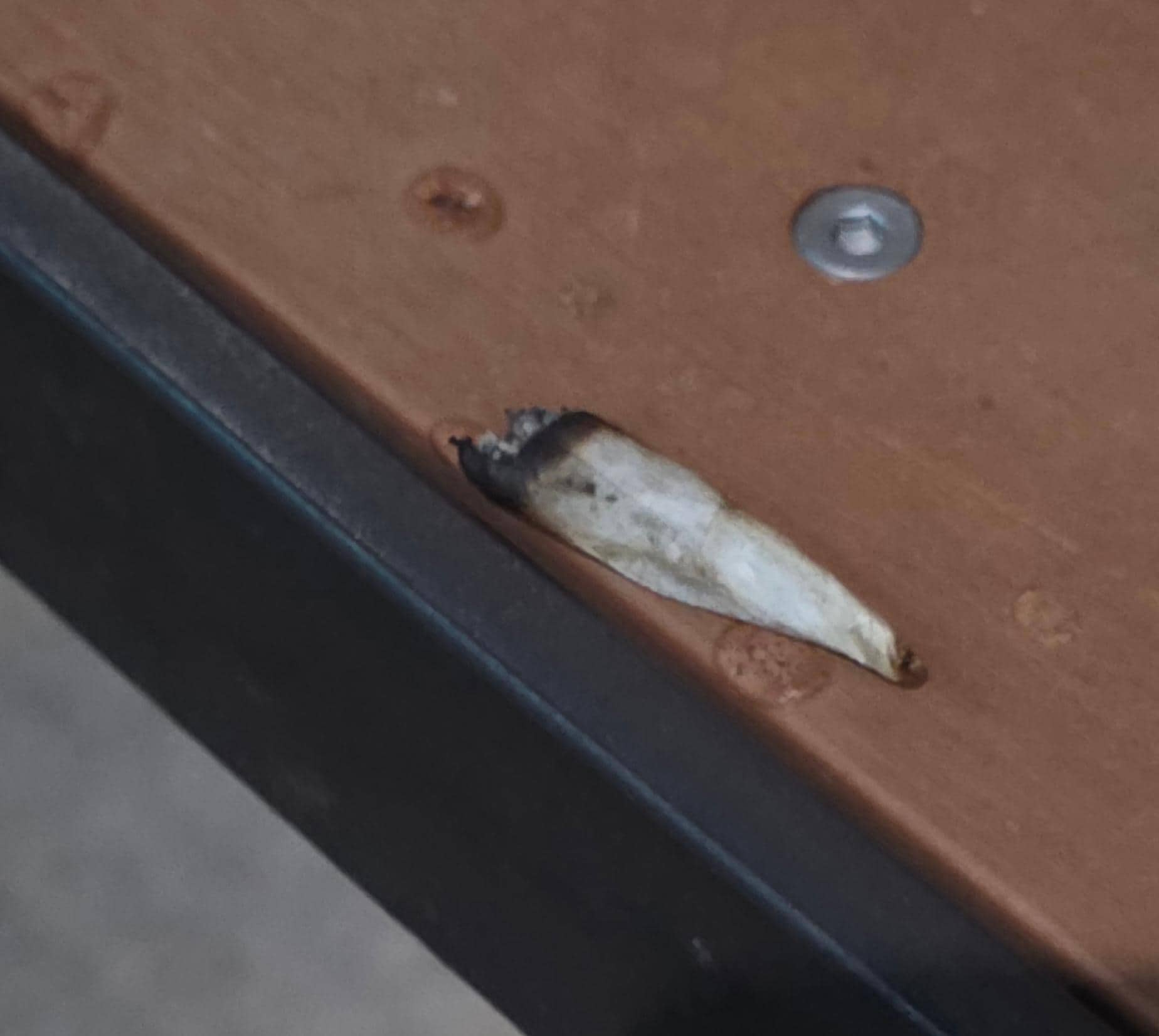 On the table outside the hotel. Don't care if you partake but please remove your trash