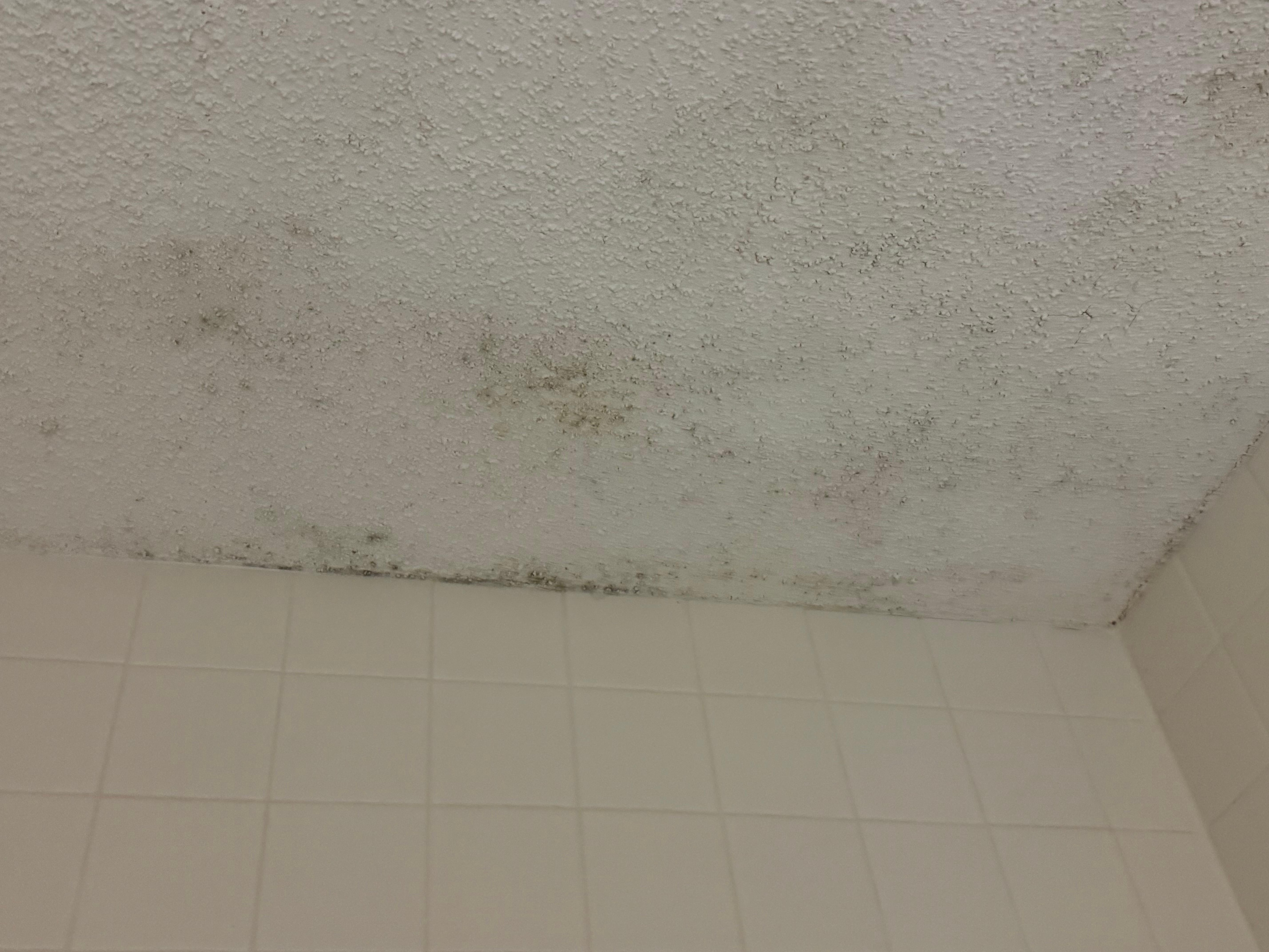 Mold on the bathroom ceiling