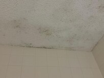 Mold on the bathroom ceiling