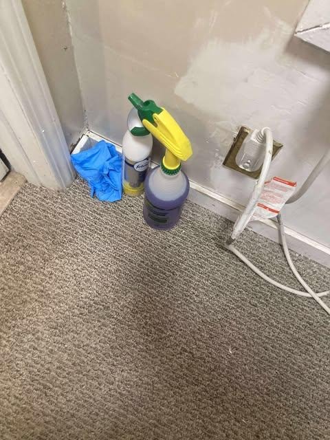 THEY GAVE ME CLEARNER TO CLEAN THE SHIT OFF THE CARPET AND GLOVES