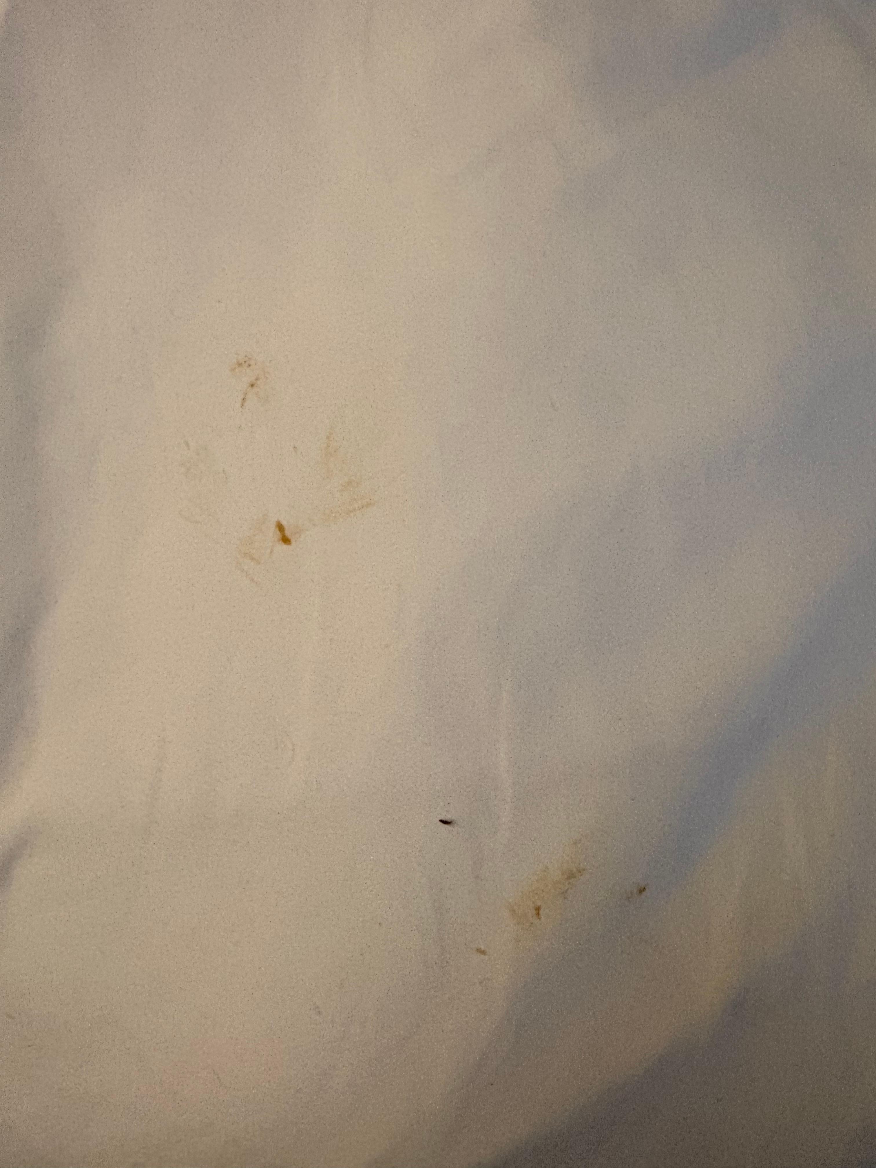 while gettin fun bed and pulling the blackest/sheets from being tucked in I found these stains/crust on the sheet.