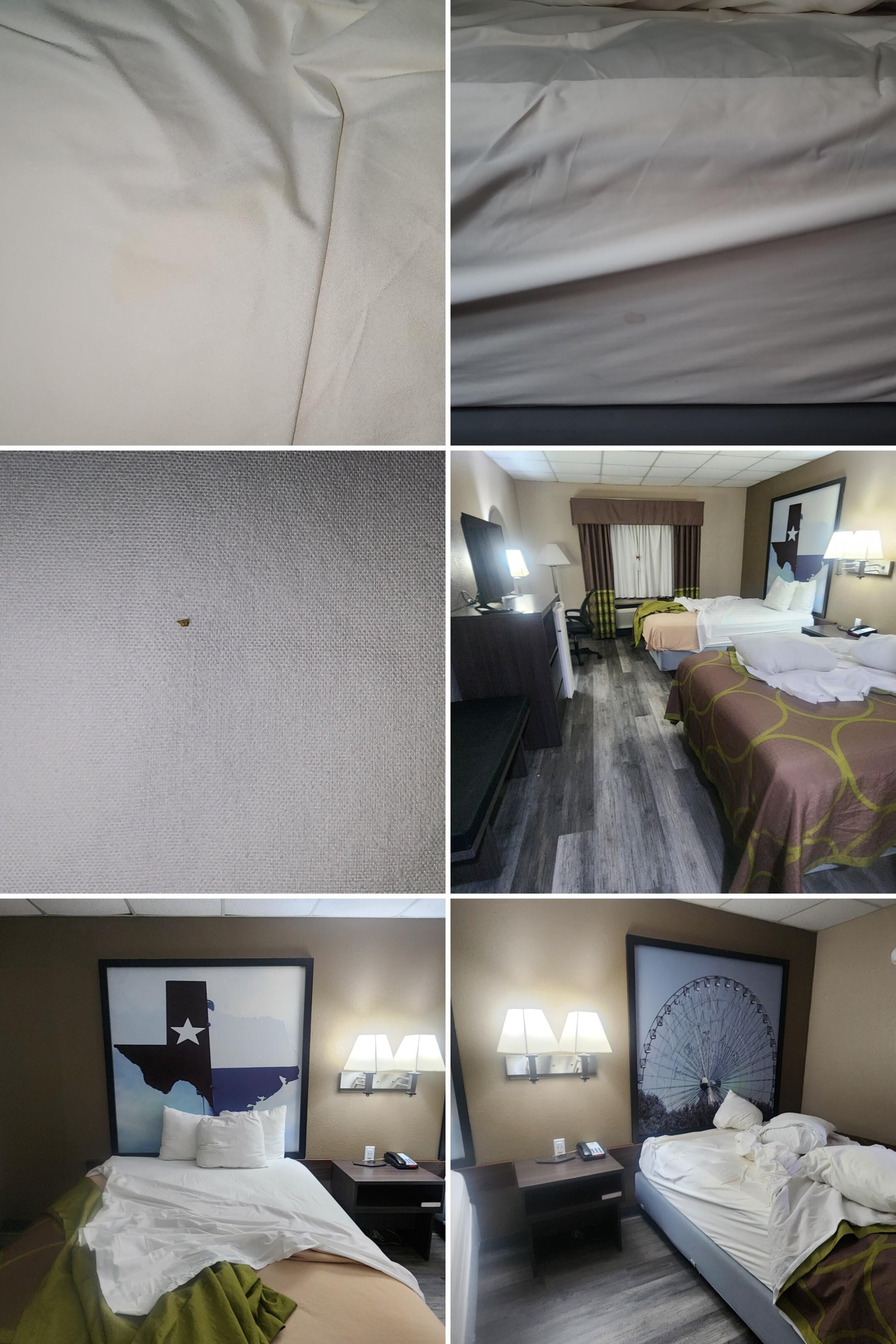 Bed bugs and stained sheets