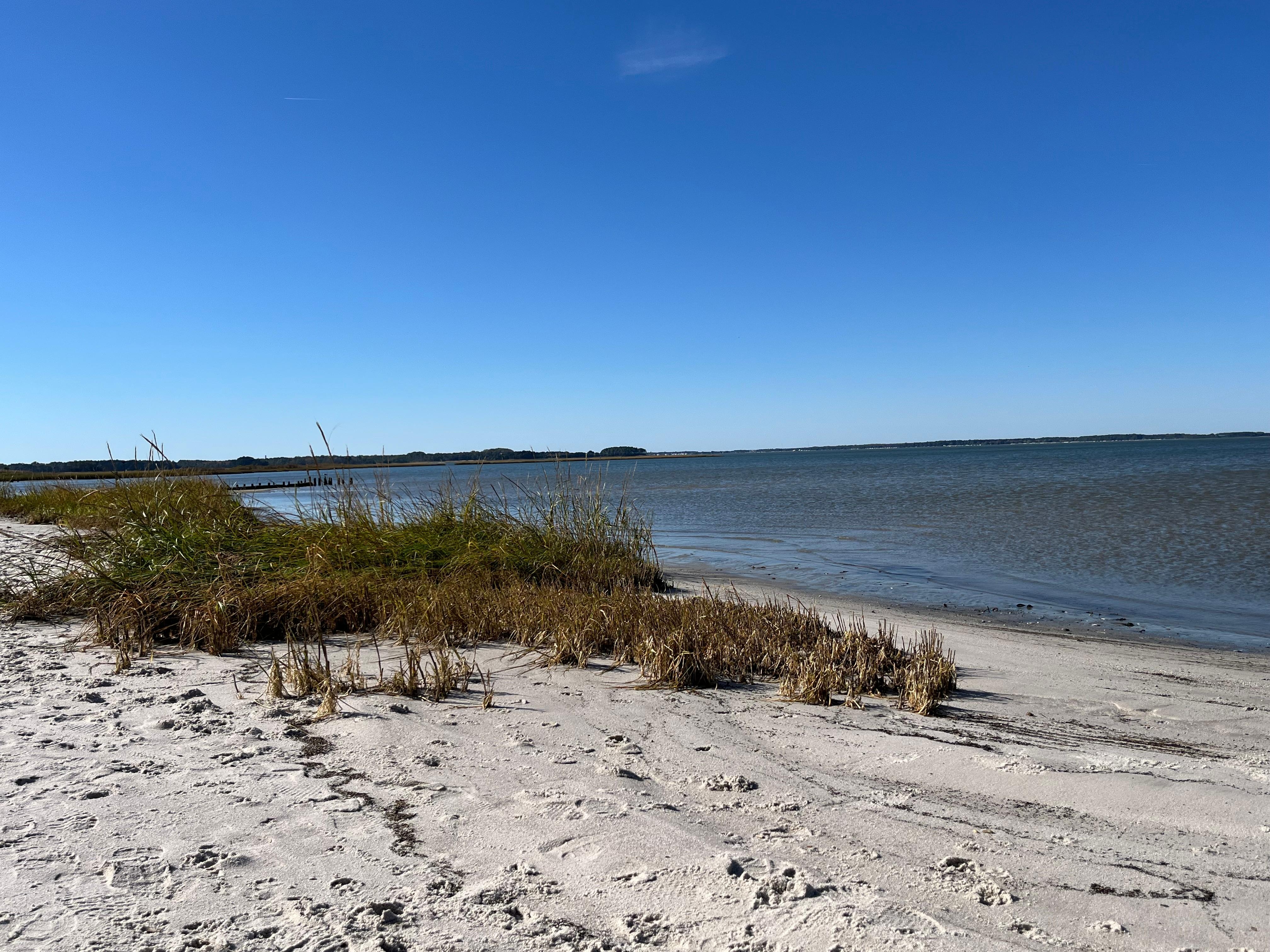 Take a walk through the woods and you’ll reach this beautiful beach at James Farm.
