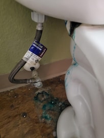 What housecleaning can't see this?