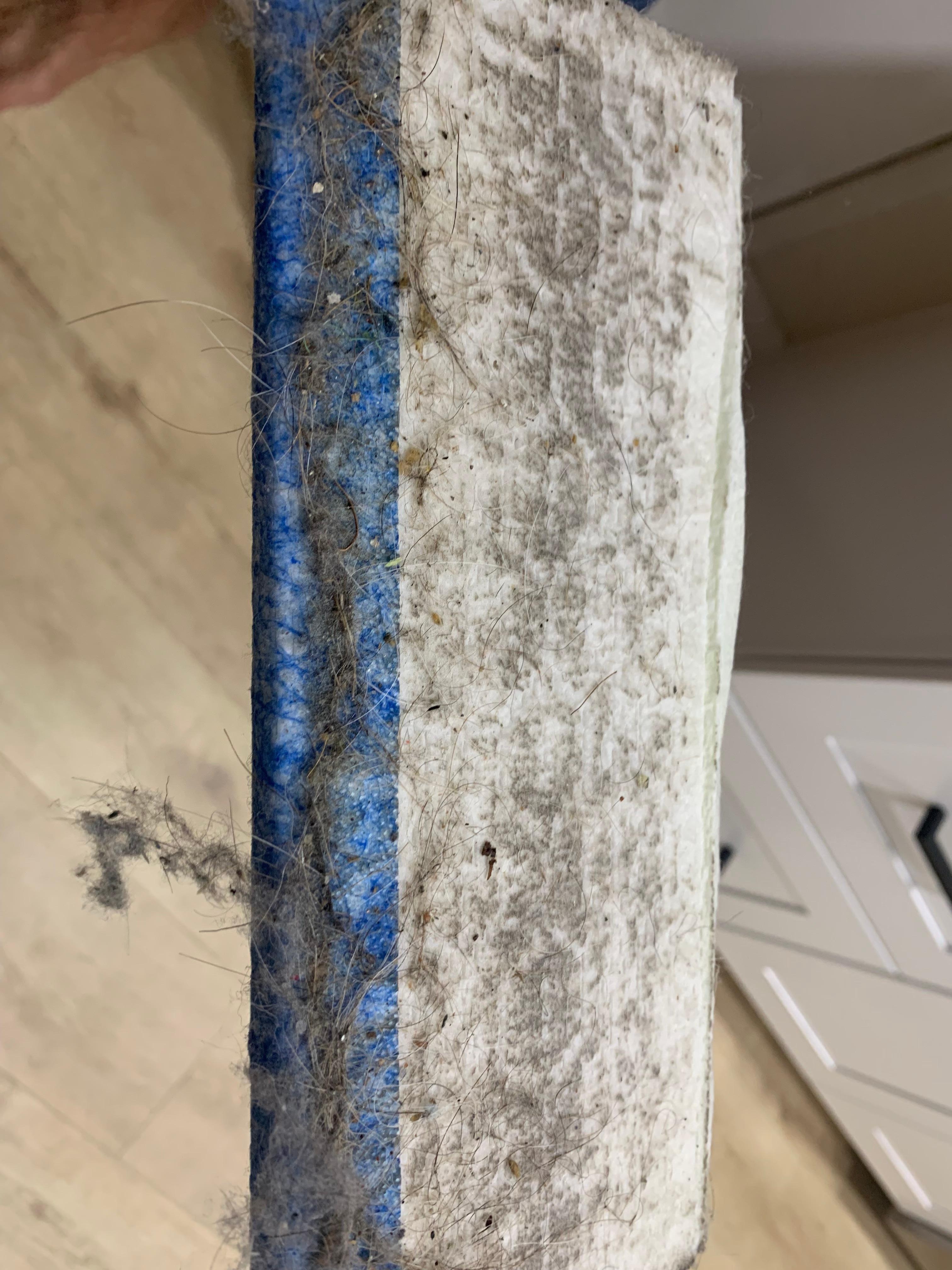 Common area after my first pass.