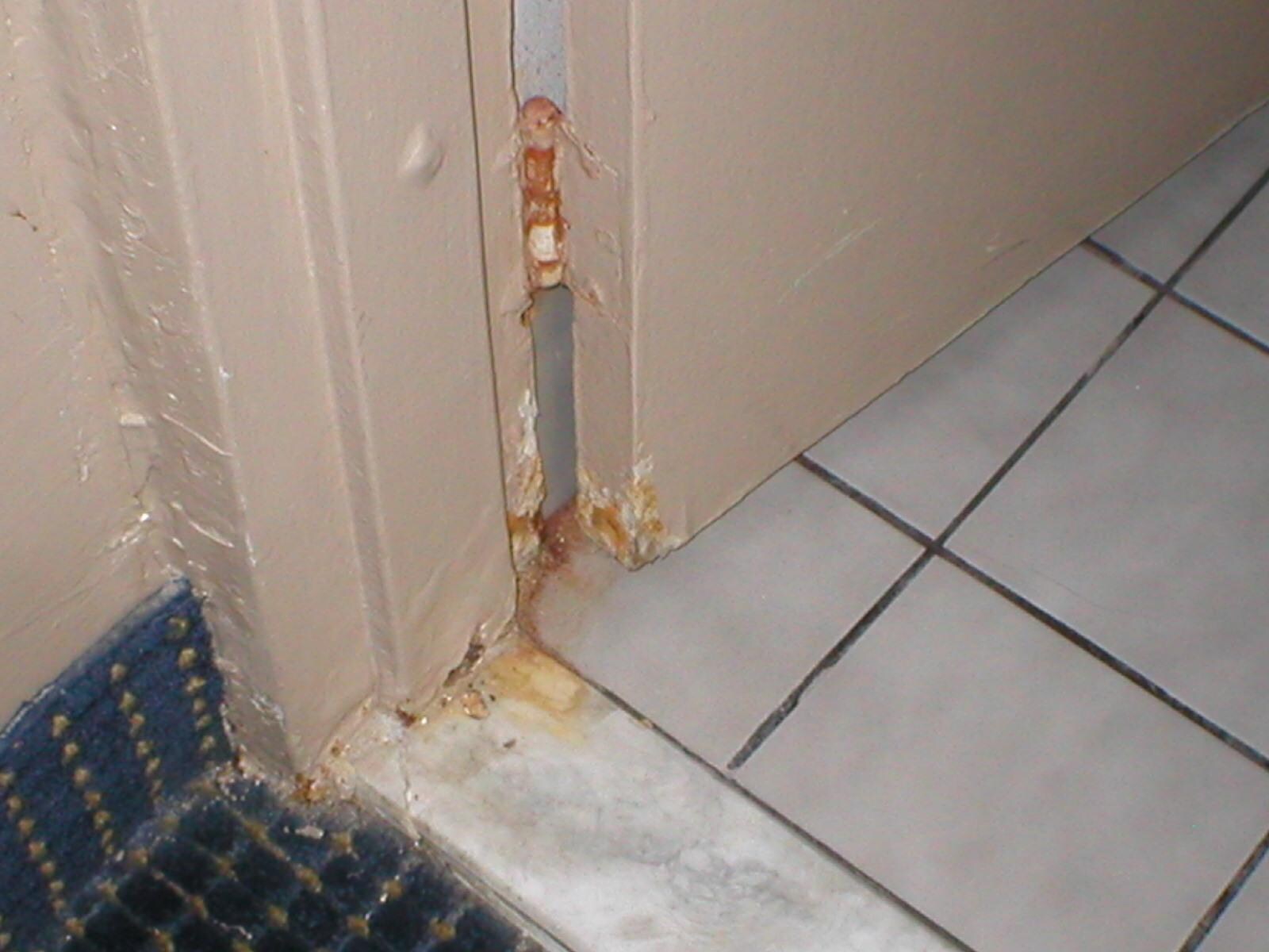 Bathroom door