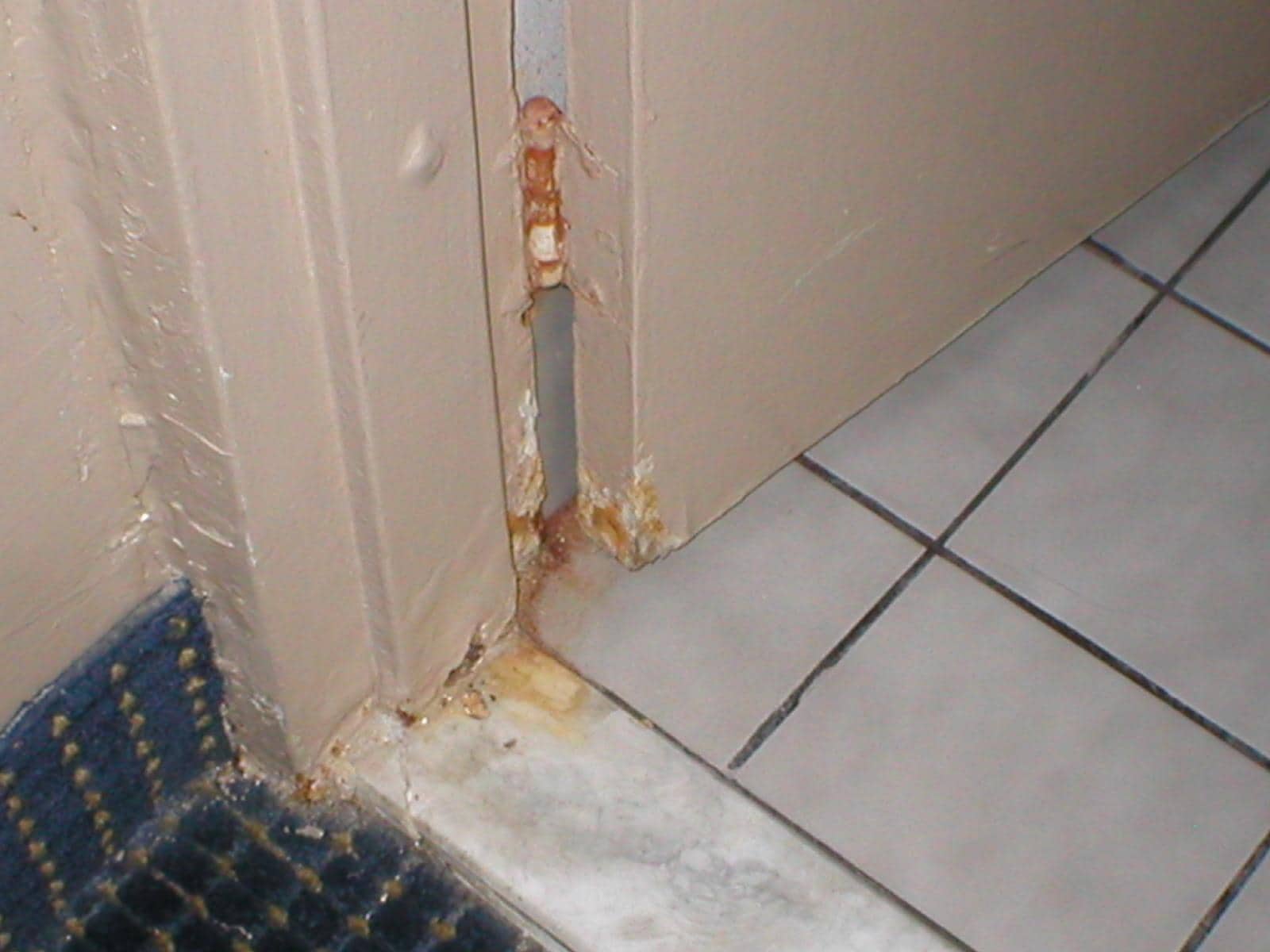 Bathroom door