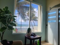 The view from the tv room.