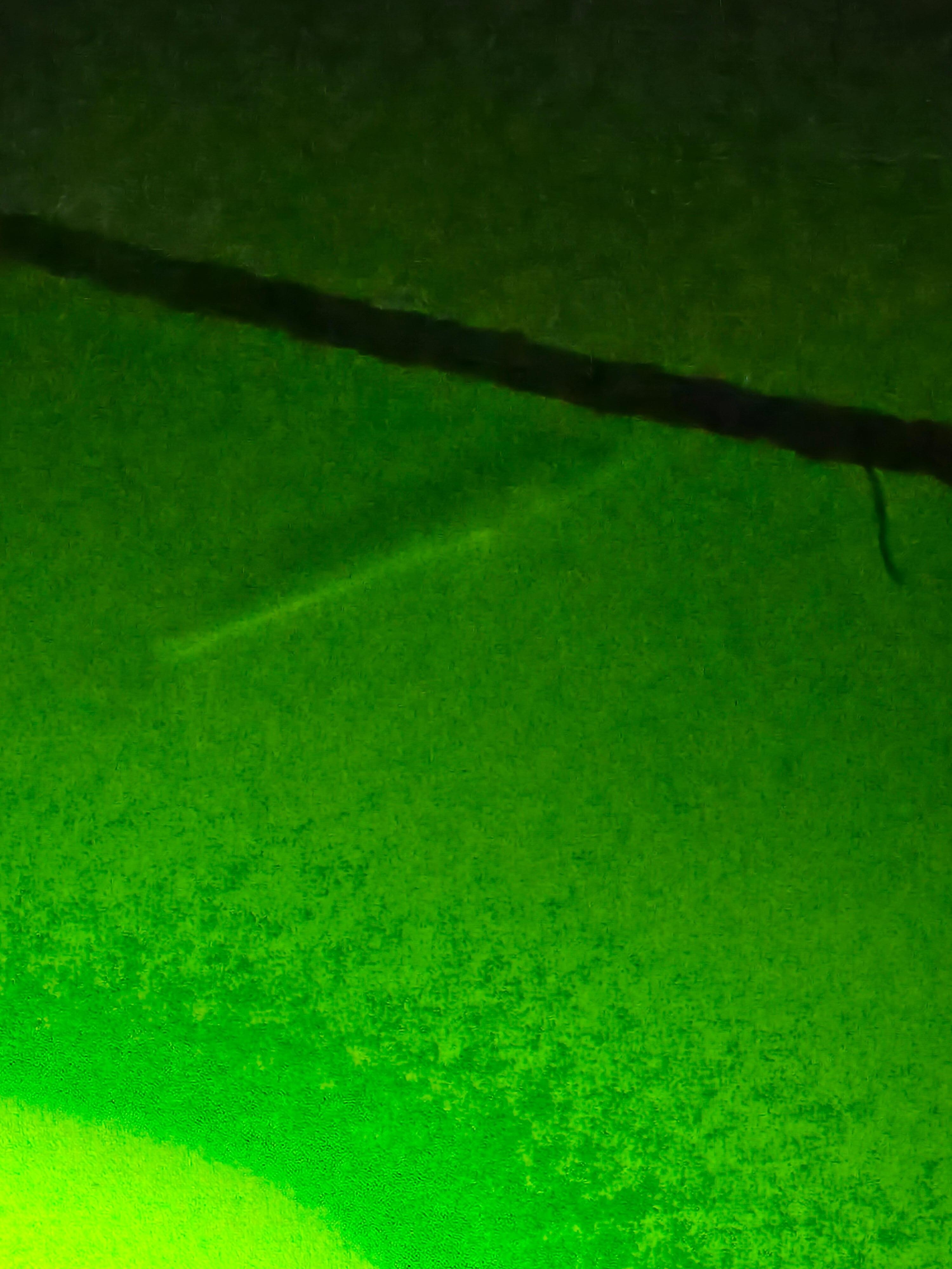 Night time fish at the dock.