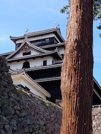 松江城