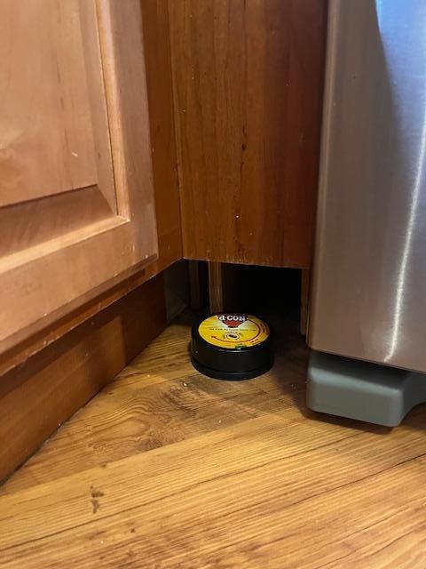 mouse trap and you can see the poor finish work with large gap under the kitchen cabinet