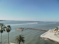 Daily view, lots of dolphins