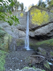 Waterfalls in the Columbia gorge
