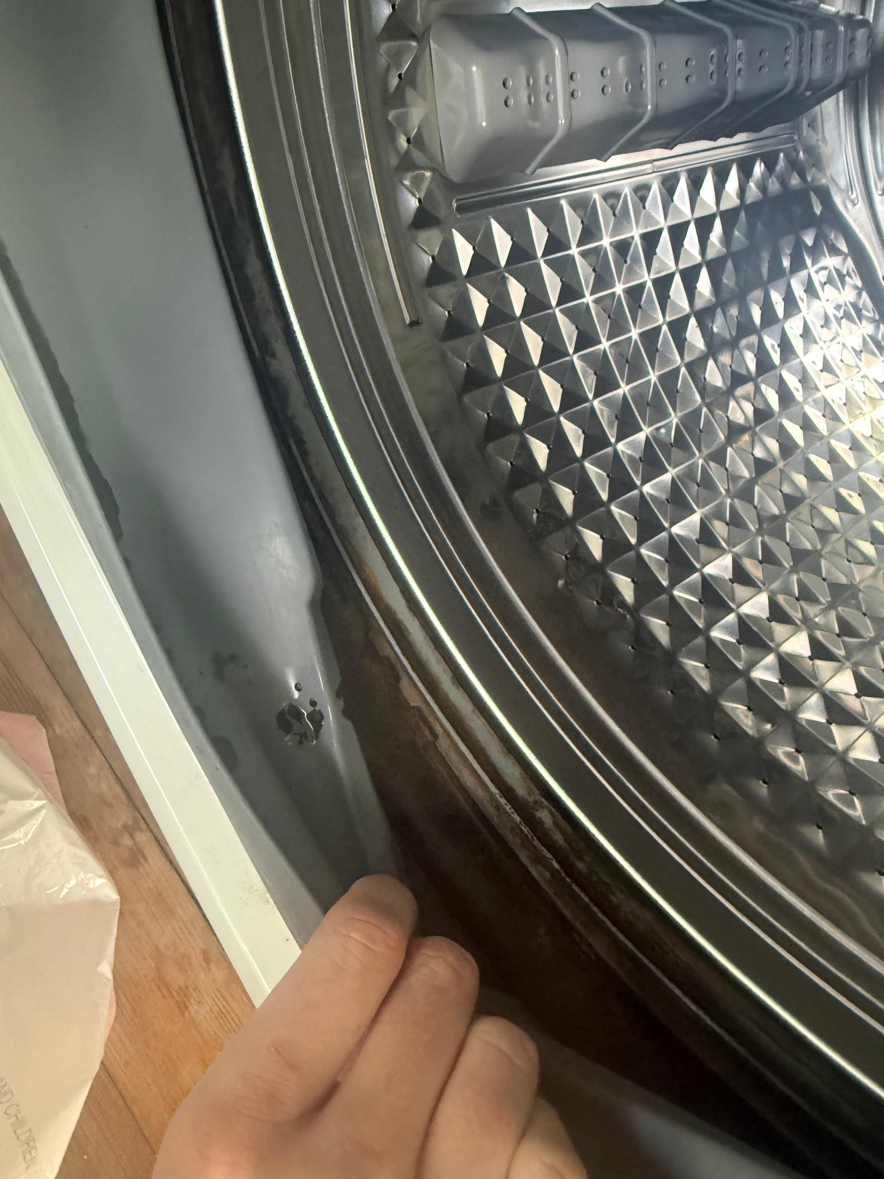 mold in washer