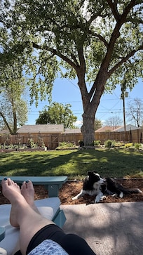 Gorgeous backyard for morning ☕️